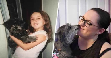 Una Mujer Descubre que el Viejo Perro que Adoptó es el Mismo que Tuvo de Niña