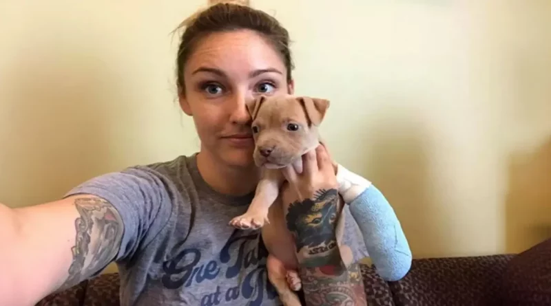 La Cachorrita Pit Bull De Tres Patas Era Justo Lo Que Su Nueva Mamá Necesitaba