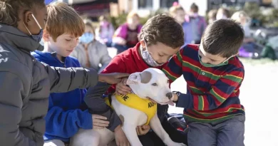 Alumnos de segundo grado escribieron cartas adorables en nombre de animales de refugio para que fueran adoptados, ¡y funcionó!