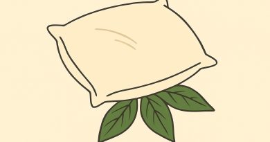 Mi suegra siempre pone una hoja de laurel debajo de la almohada de su hijo. Pensé que era algún tipo de hechizo… hasta que descubrí la verdad…