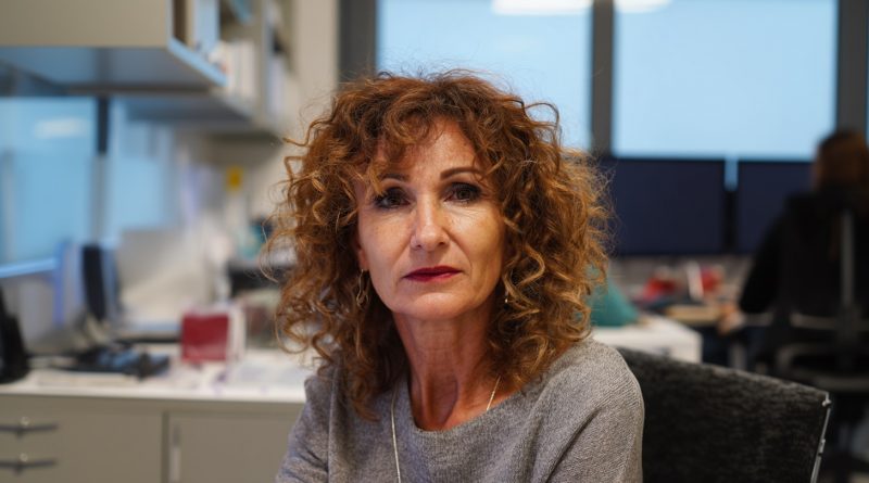 Una colega me saboteó durante siete años frente al jefe y luego me pidió que la reemplazara urgentemente en una presentación importante. Acepté y hice algo que ni yo misma esperaba de mí…