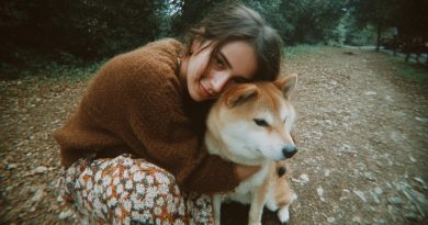 Las hermanas dividían la casa de la abuela. Yo solo me llevé a su viejo perro — y me quedé sin palabras cuando escaneé el código en su collar