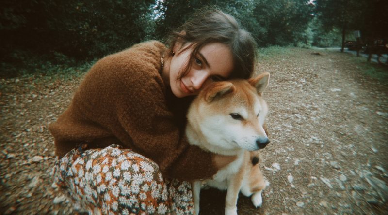 Las hermanas dividían la casa de la abuela. Yo solo me llevé a su viejo perro — y me quedé sin palabras cuando escaneé el código en su collar