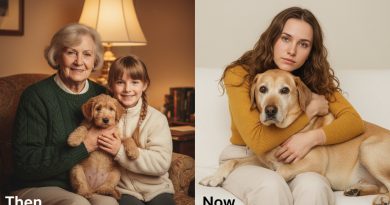 La abuela dejó a mi primo codicioso cien mil. A mí — un viejo perro. Resultó que el perro guardaba un secreto