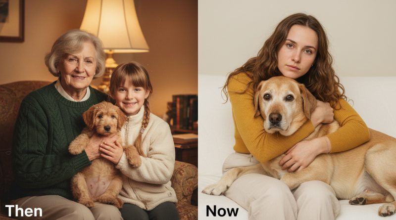 La abuela dejó a mi primo codicioso cien mil. A mí — un viejo perro. Resultó que el perro guardaba un secreto