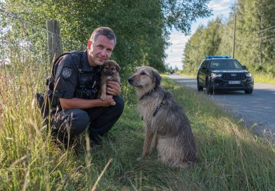 Un cachorro corrió hacia los policías en busca de ayuda. Lo que sucedió después es difícil de olvidar…