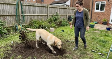 El perro del vecino desenterró una bolsa en mi jardín — la policía llegó en 15 minutos