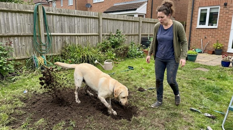 El perro del vecino desenterró una bolsa en mi jardín — la policía llegó en 15 minutos