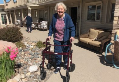 La vecina convirtió mi cuidado jardín en un basurero y estaba segura de que se saldría con la suya, pero decidí darle una lección con un regalo que nunca olvidará…