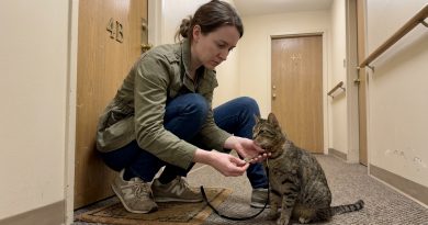 El vecino desapareció y me dejó su gato — y unas semanas después encontré una llave y una nota en su collar