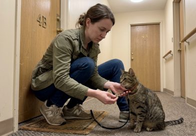 El vecino desapareció y me dejó su gato — y unas semanas después encontré una llave y una nota en su collar