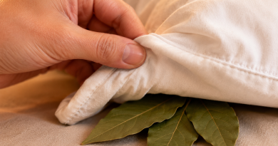 Mi suegra siempre pone una hoja de laurel debajo de la almohada de su hijo. Pensé que era algún tipo de hechizo… hasta que descubrí la verdad…