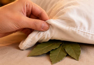 Mi suegra siempre pone una hoja de laurel debajo de la almohada de su hijo. Pensé que era algún tipo de hechizo… hasta que descubrí la verdad…